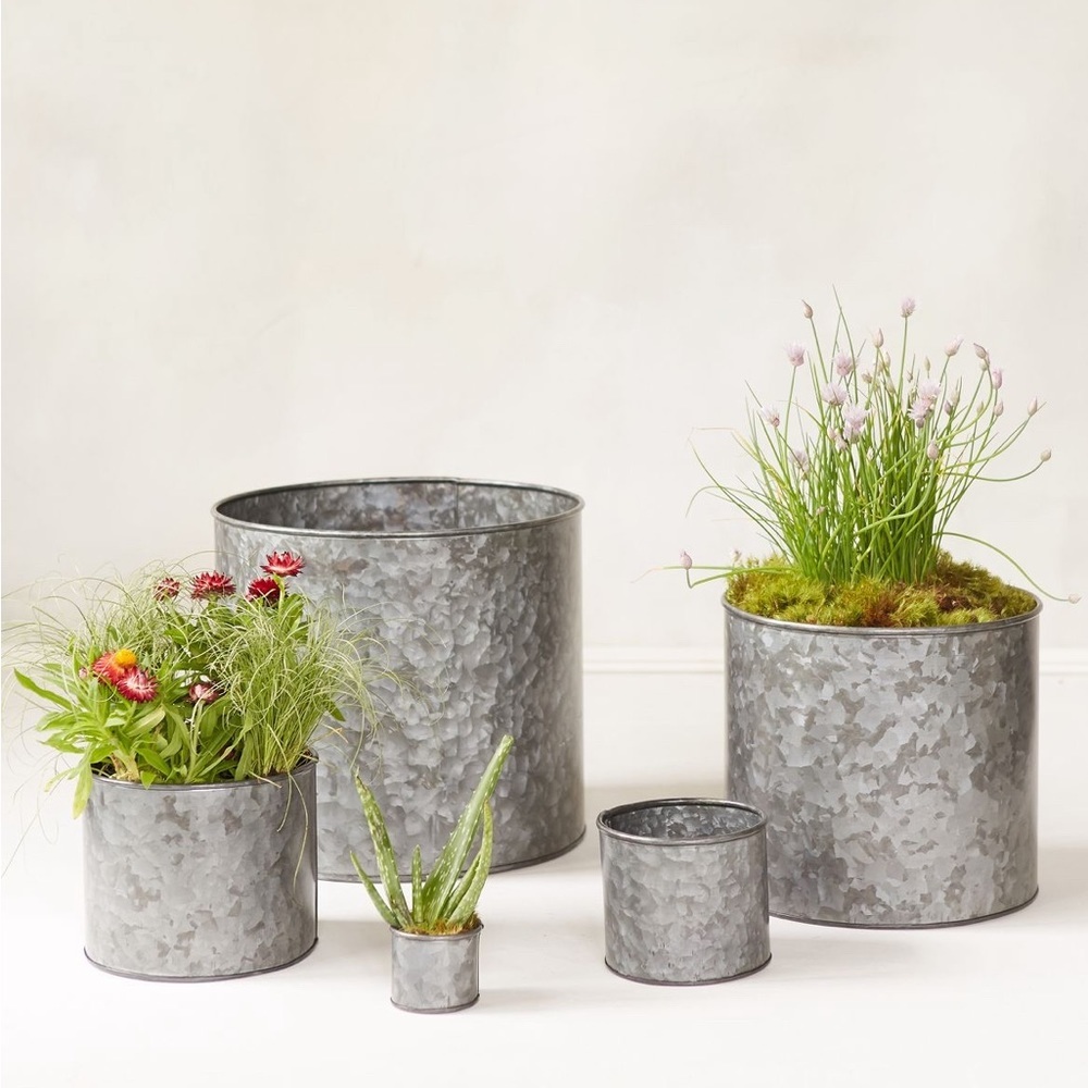 Anthropologie Home Habit + Form Cylinder Iron Pot Terrain Small New AnthroLiving